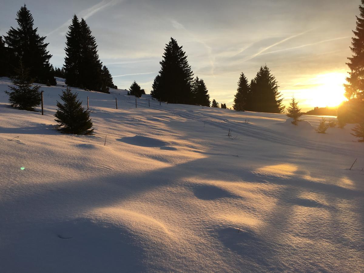 فيلدبرج Schwarzwald-Hotel Kraeutle المظهر الخارجي الصورة